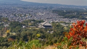 09-Nara (4)
